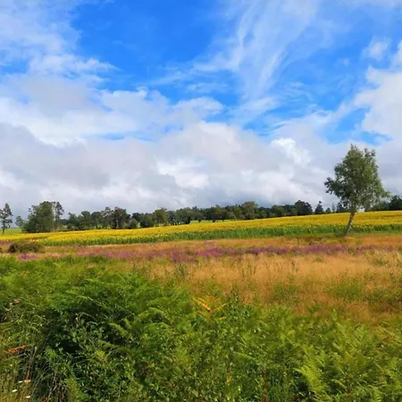 In France With Private Terrace Hébergement de vacances Roussines