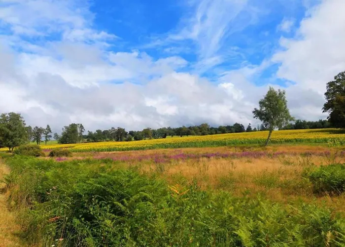 In France With Private Terrace Сasa de vacaciones Roussines